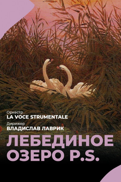 Лебединое Озеро P.S.
