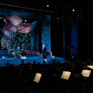 Похищение из сераля